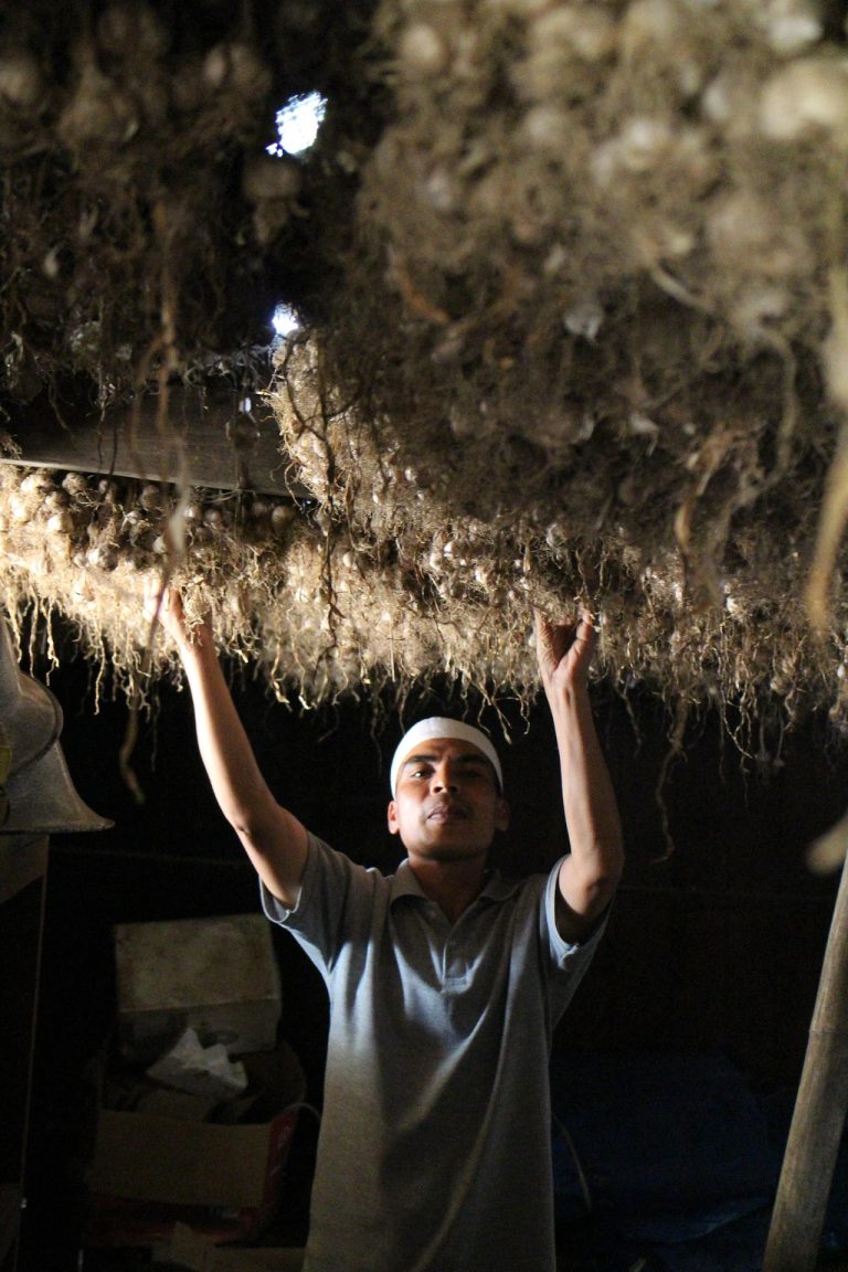 ahmad sbq garlic farmer 7820409 1920